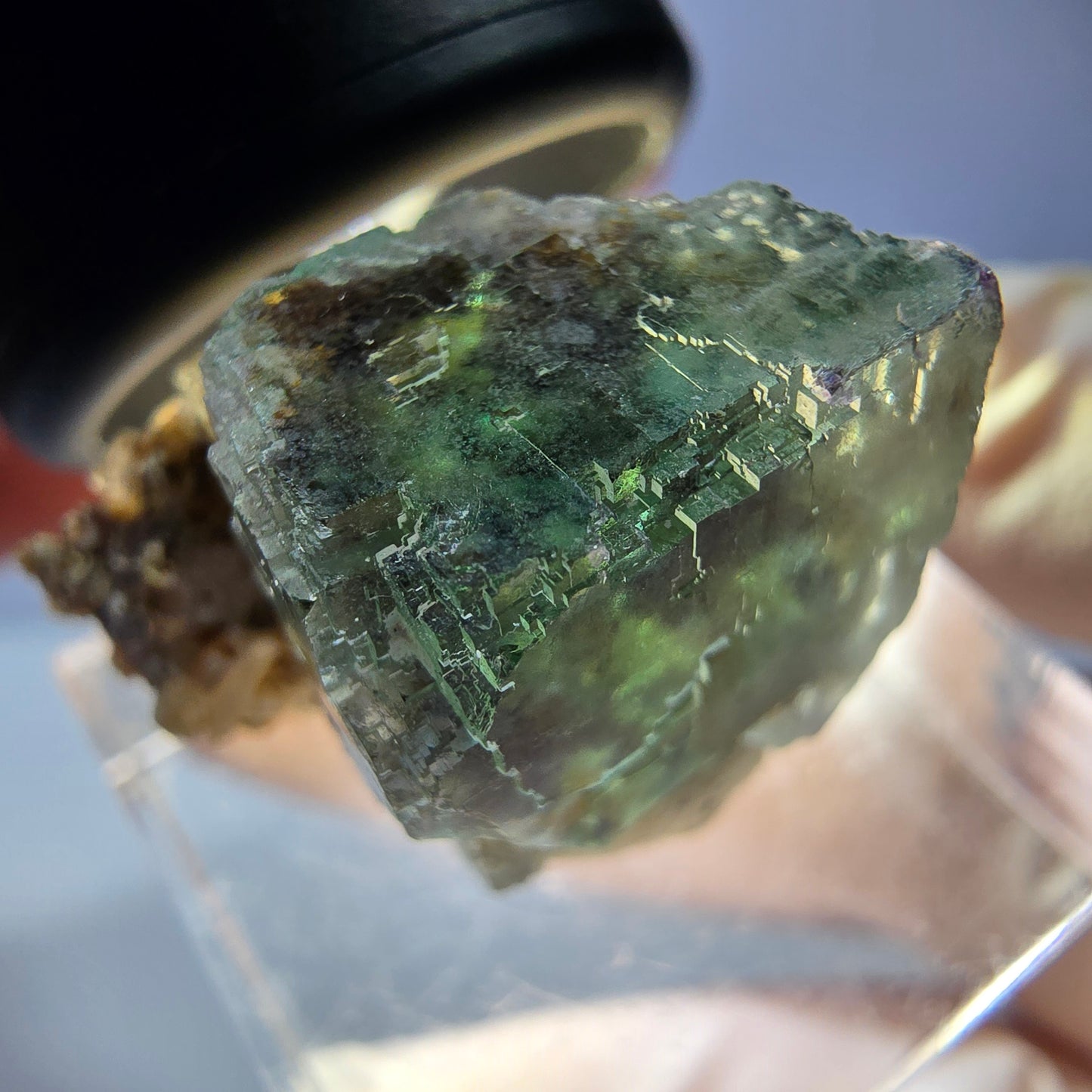 Phantom Fluorit Würfel Stufe, parkettiert grün Okorusu, Namibia 22*20*17mm