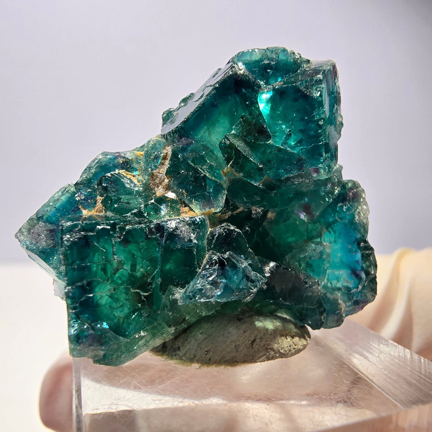 Phantom Fluorit Würfel Stufe, parkettiert grün Okorusu, Namibia 33*27*18mm