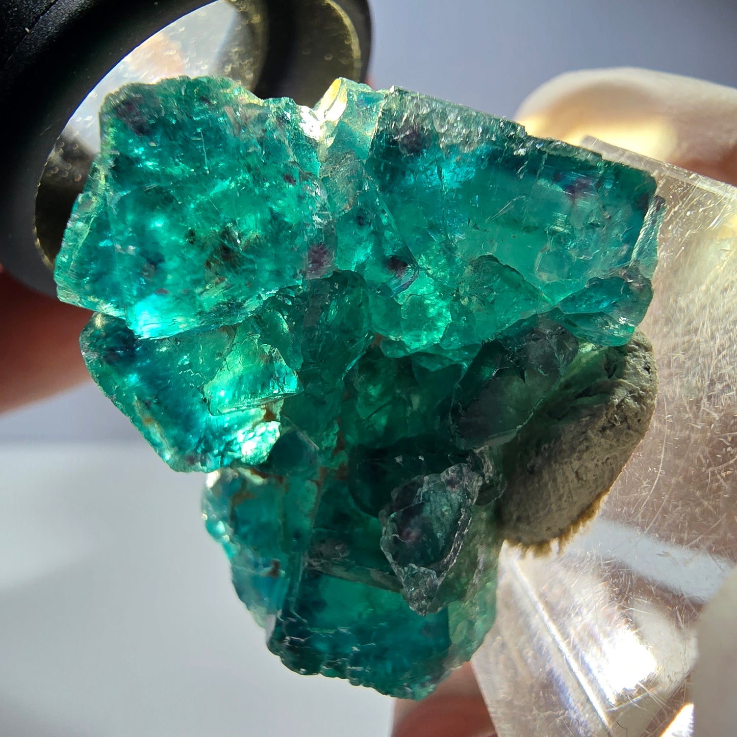 Phantom Fluorit Würfel Stufe, parkettiert grün Okorusu, Namibia 33*27*18mm