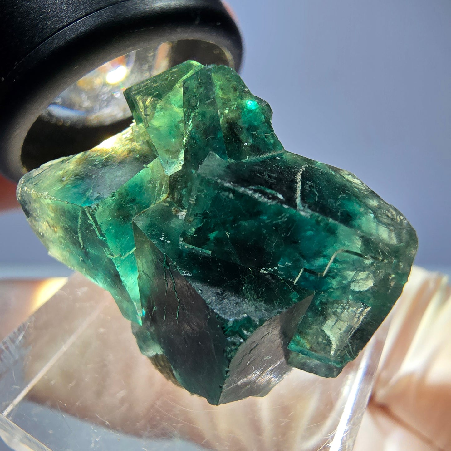 Phantom Fluorit Würfel Stufe, parkettiert grün Okorusu, Namibia 27*23*17mm