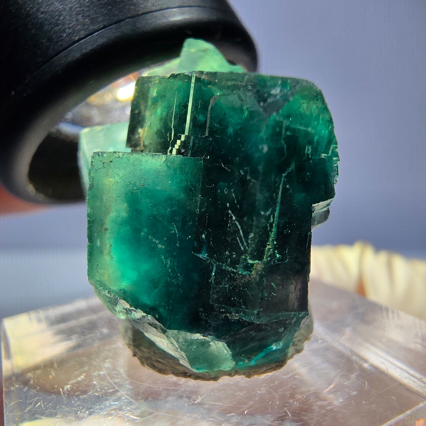 Phantom Fluorit Würfel Stufe, parkettiert grün Okorusu, Namibia 27*23*17mm
