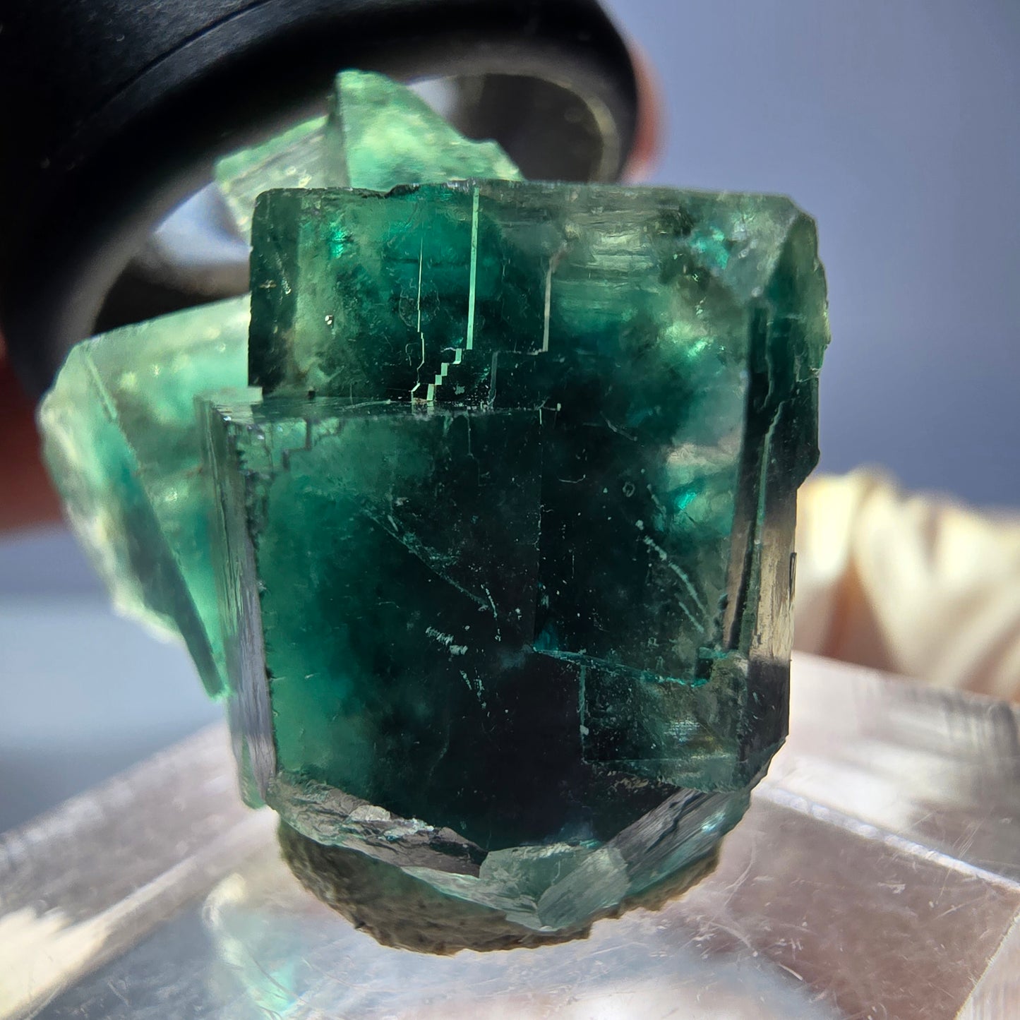 Phantom Fluorit Würfel Stufe, parkettiert grün Okorusu, Namibia 27*23*17mm