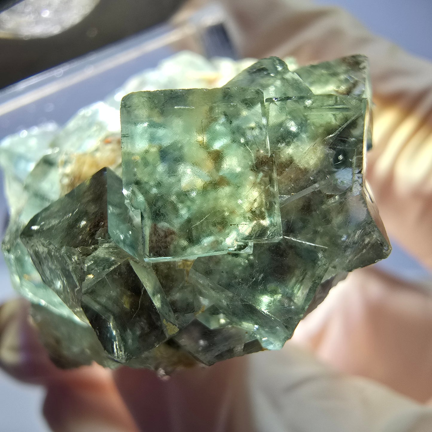 Phantom Fluorit Würfel Stufe, parkettiert grün Okorusu, Namibia 34*32*16mm