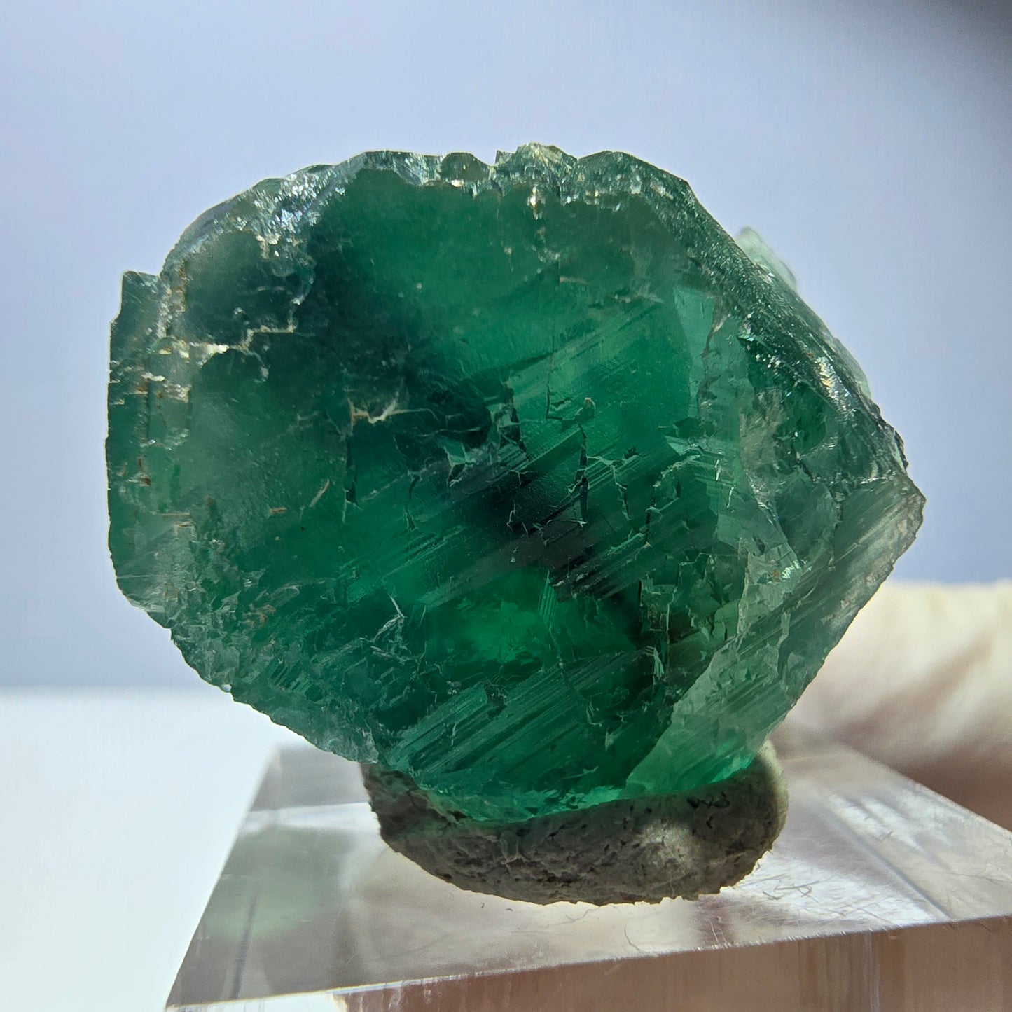 Phantom Fluorit Würfel Stufe, parkettiert grün Okorusu, Namibia 36*25*25mm