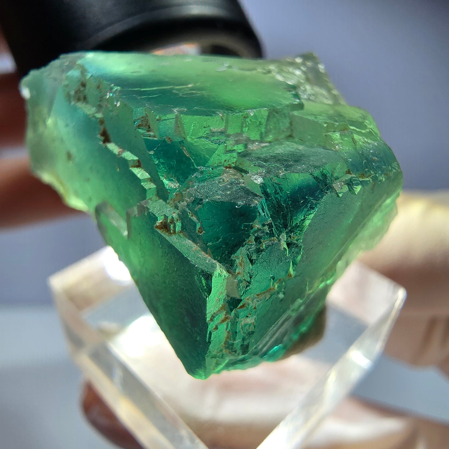 Phantom Fluorit Würfel Stufe, parkettiert grün Okorusu, Namibia 36*25*25mm