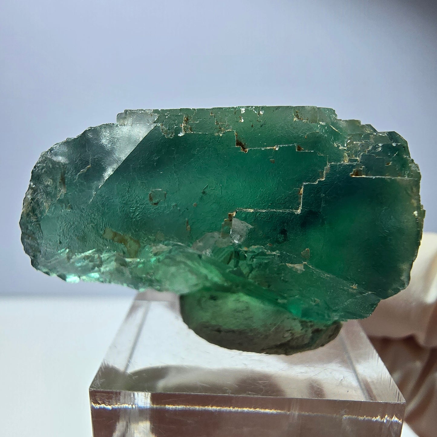 Phantom Fluorit Würfel Stufe, parkettiert grün Okorusu, Namibia 36*25*25mm