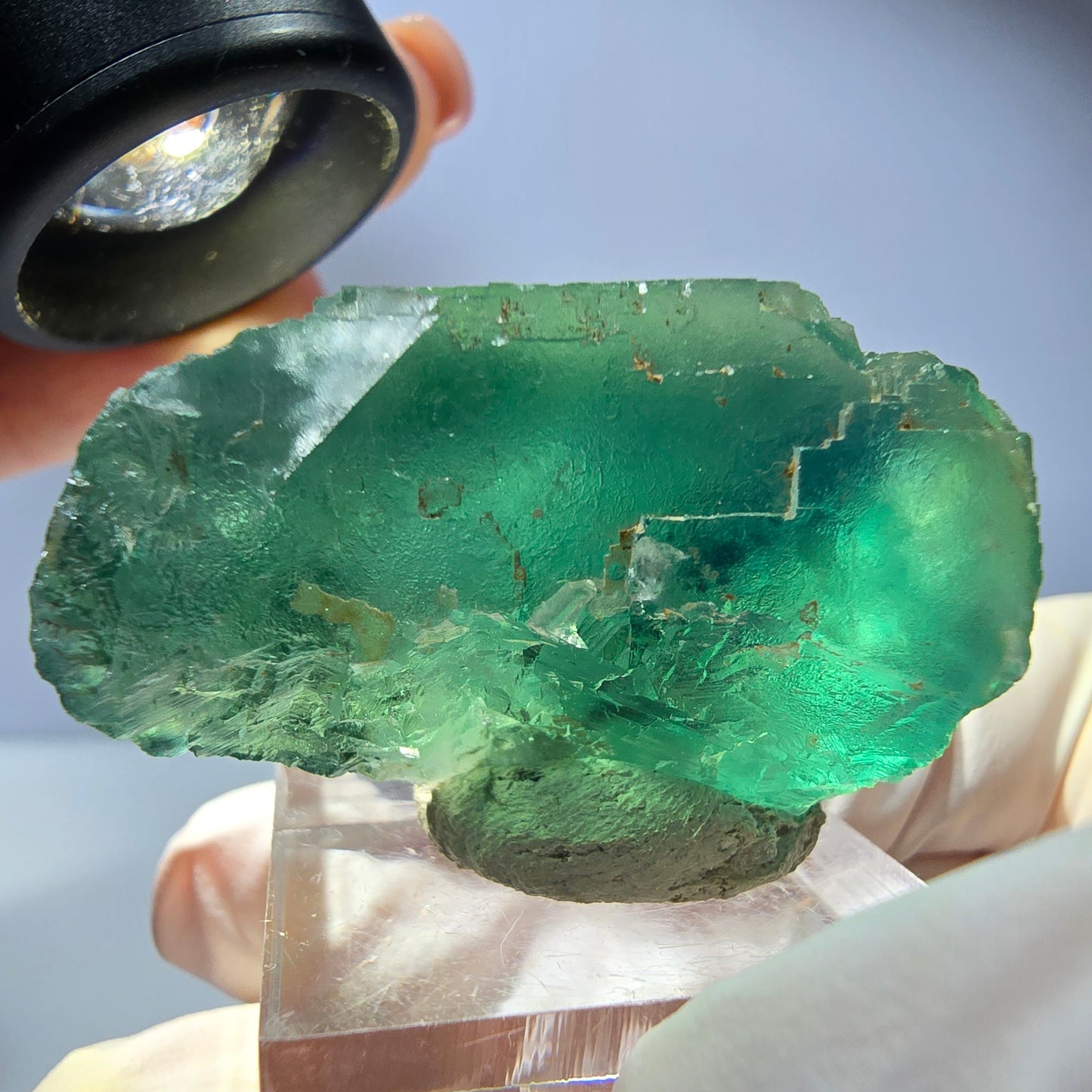 Phantom Fluorit Würfel Stufe, parkettiert grün Okorusu, Namibia 36*25*25mm