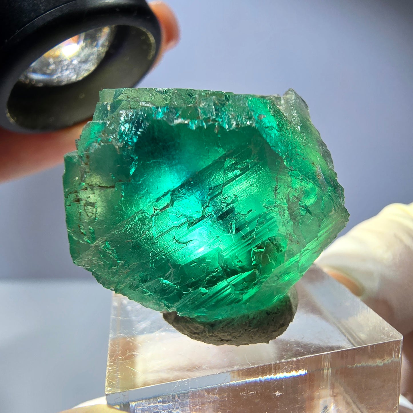 Phantom Fluorit Würfel Stufe, parkettiert grün Okorusu, Namibia 36*25*25mm