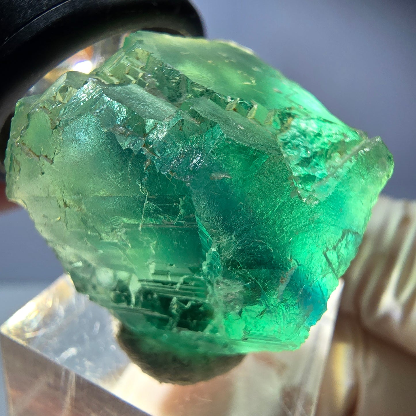 Phantom Fluorit Würfel Stufe, parkettiert grün Okorusu, Namibia 36*25*25mm