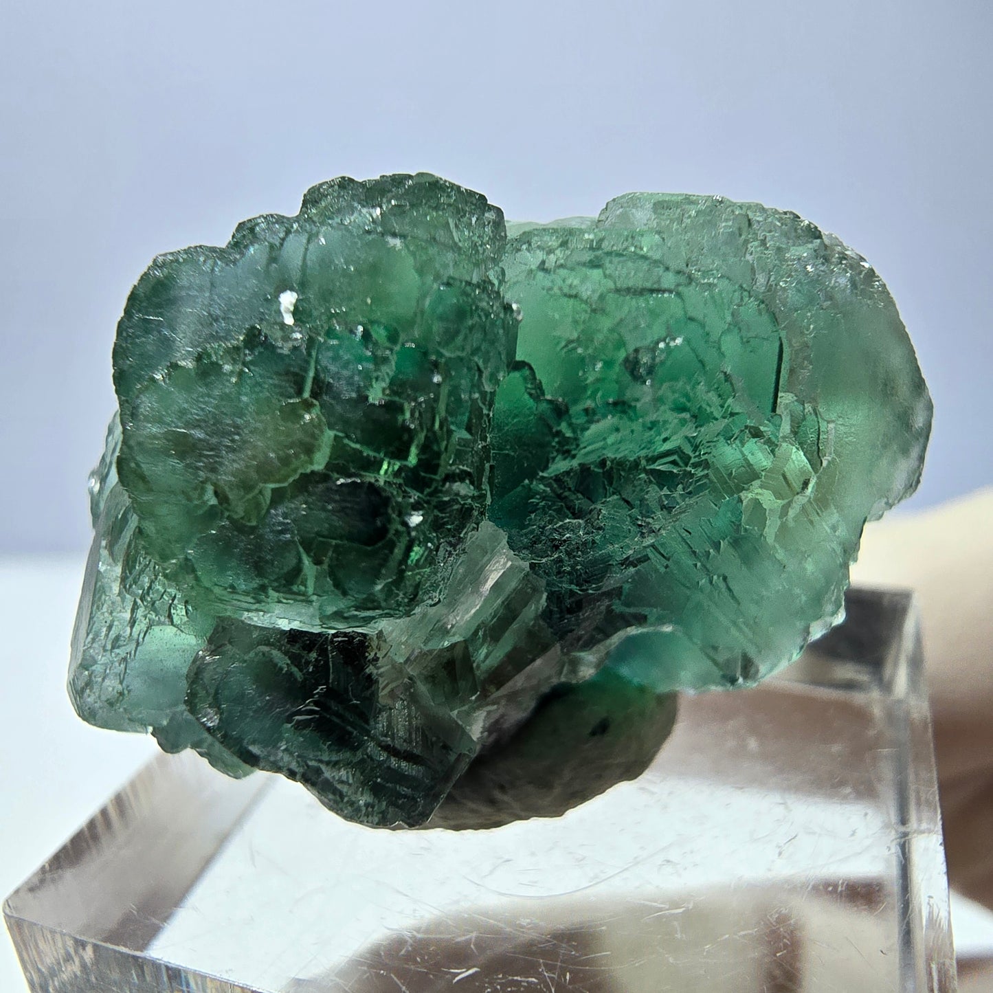 Phantom Fluorit Würfel Stufe, parkettiert grün Okorusu, Namibia 30*21*18mm