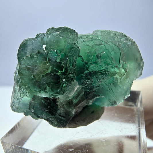 Phantom Fluorit Würfel Stufe, parkettiert grün Okorusu, Namibia 30*21*18mm