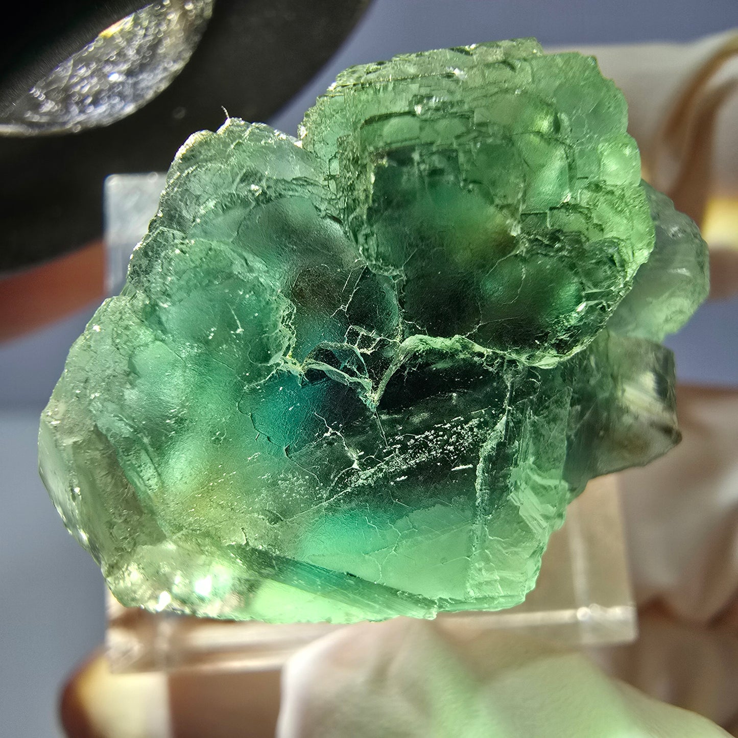 Phantom Fluorit Würfel Stufe, parkettiert grün Okorusu, Namibia 30*21*18mm