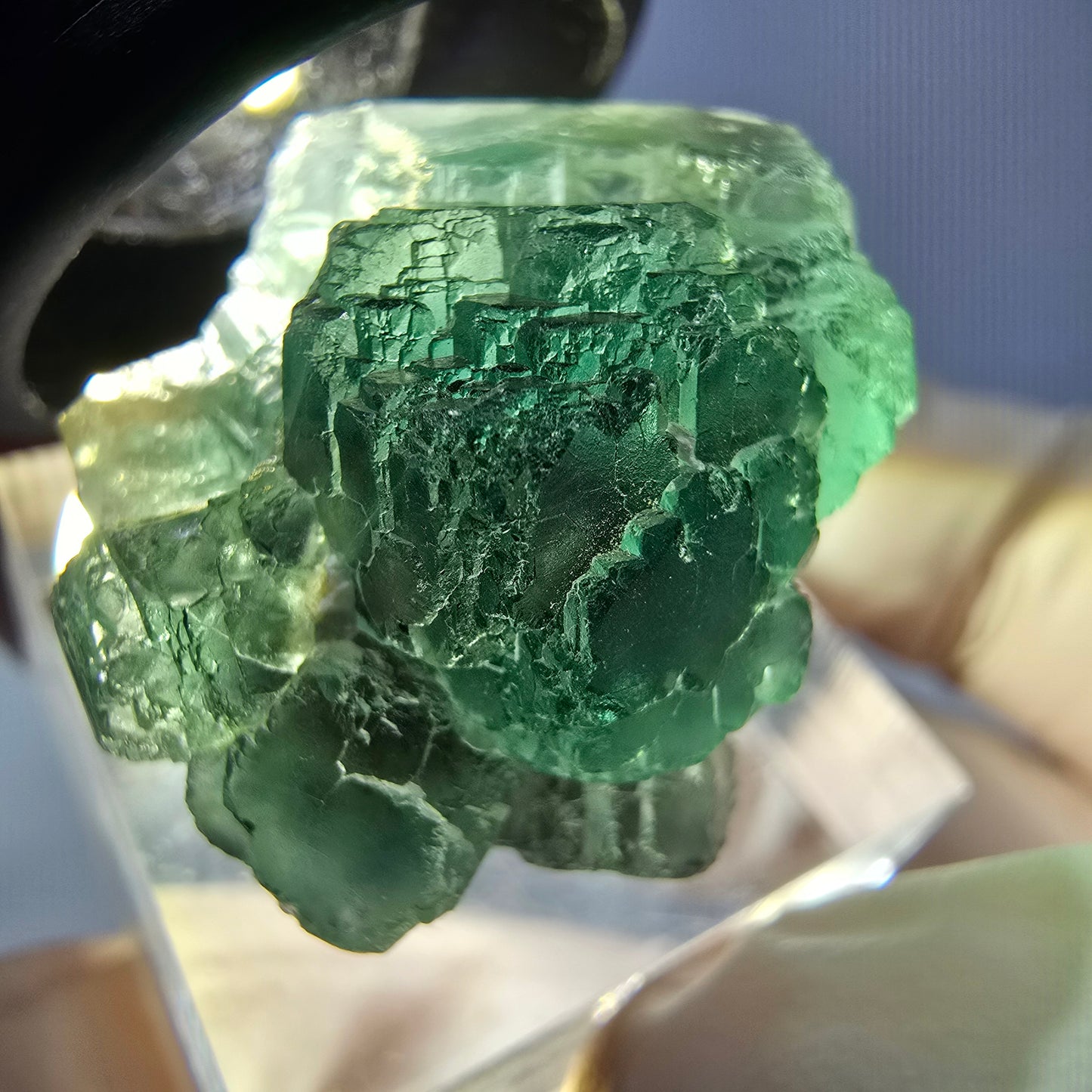 Phantom Fluorit Würfel Stufe, parkettiert grün Okorusu, Namibia 30*21*18mm