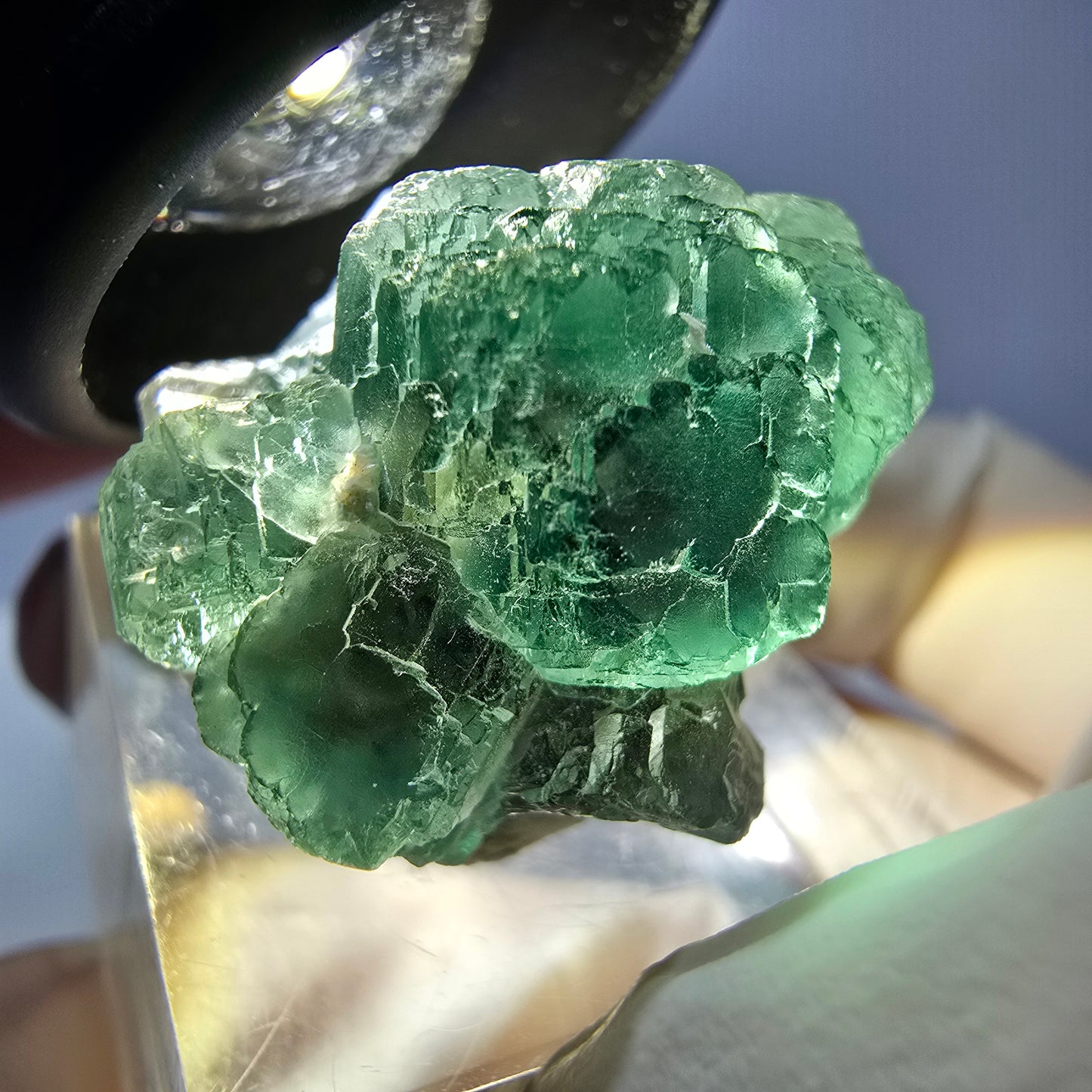 Phantom Fluorit Würfel Stufe, parkettiert grün Okorusu, Namibia 30*21*18mm
