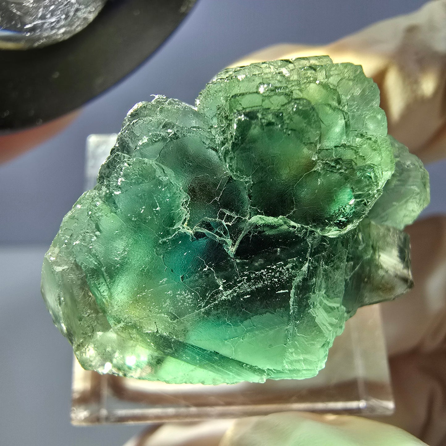 Phantom Fluorit Würfel Stufe, parkettiert grün Okorusu, Namibia 30*21*18mm
