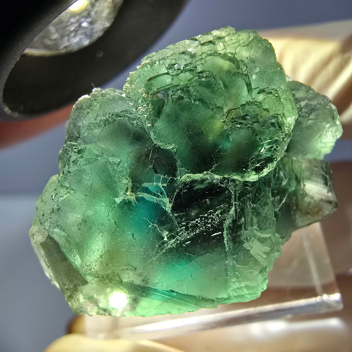 Phantom Fluorit Würfel Stufe, parkettiert grün Okorusu, Namibia 30*21*18mm