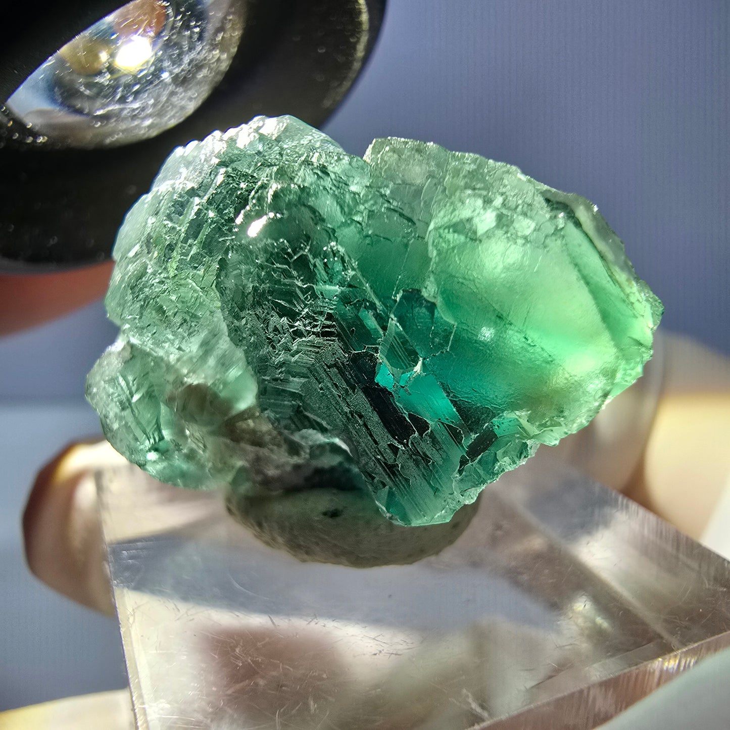 Phantom Fluorit Würfel Stufe, parkettiert grün Okorusu, Namibia 30*21*18mm