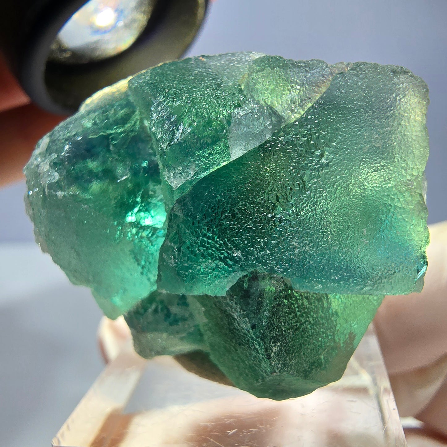 Phantom Fluorit Würfel Stufe, parkettiert grün Okorusu, Namibia 35*30*23mm