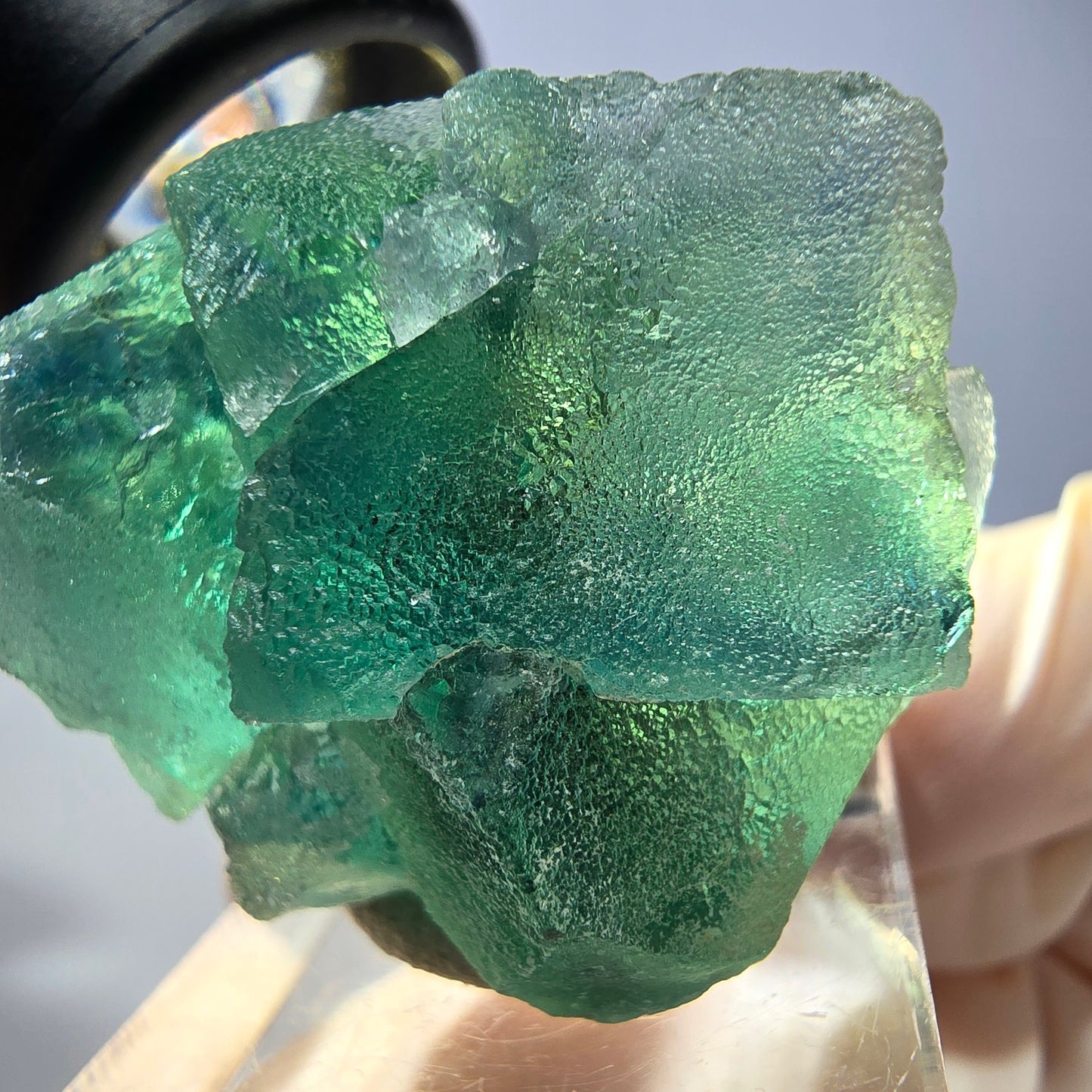 Phantom Fluorit Würfel Stufe, parkettiert grün Okorusu, Namibia 35*30*23mm