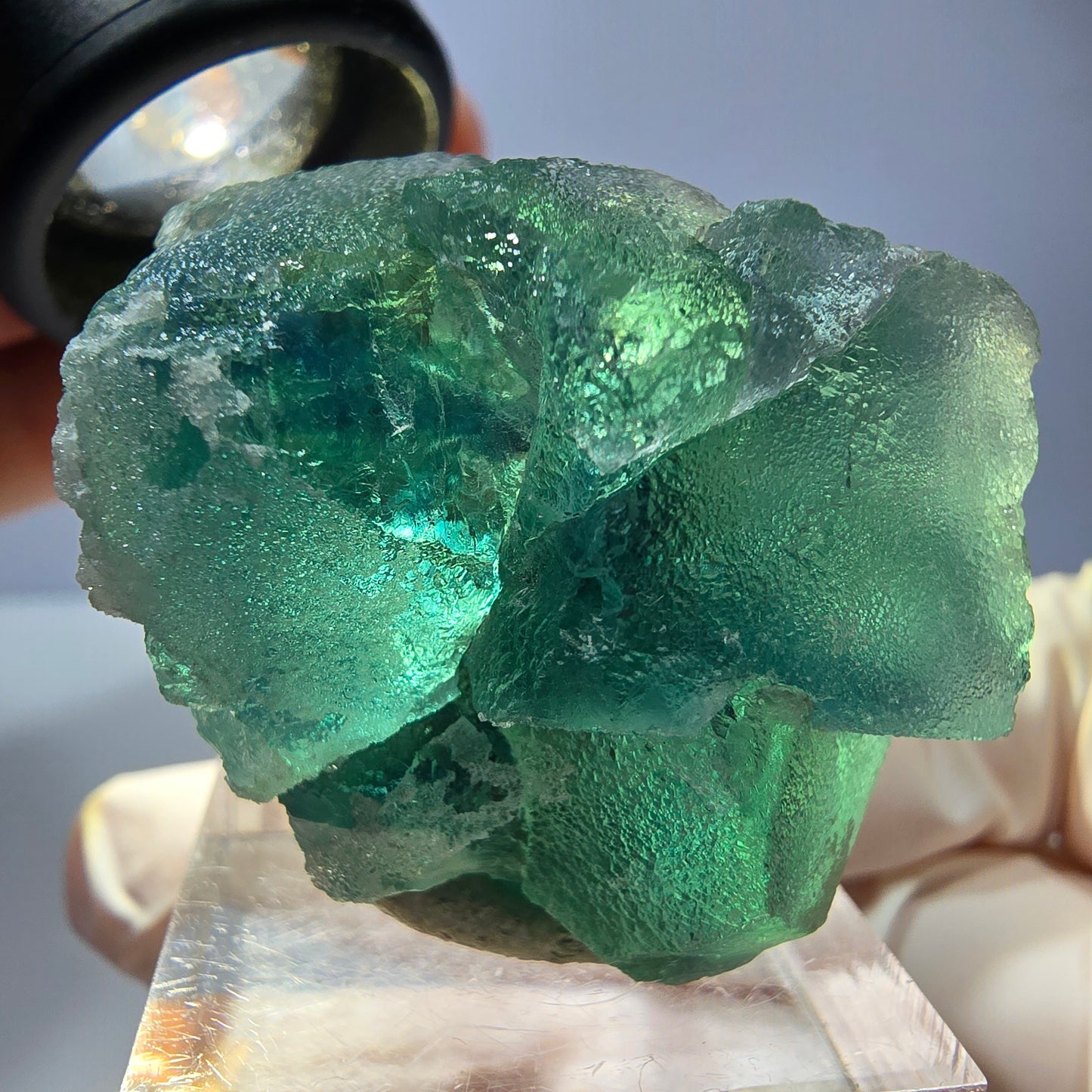 Phantom Fluorit Würfel Stufe, parkettiert grün Okorusu, Namibia 35*30*23mm