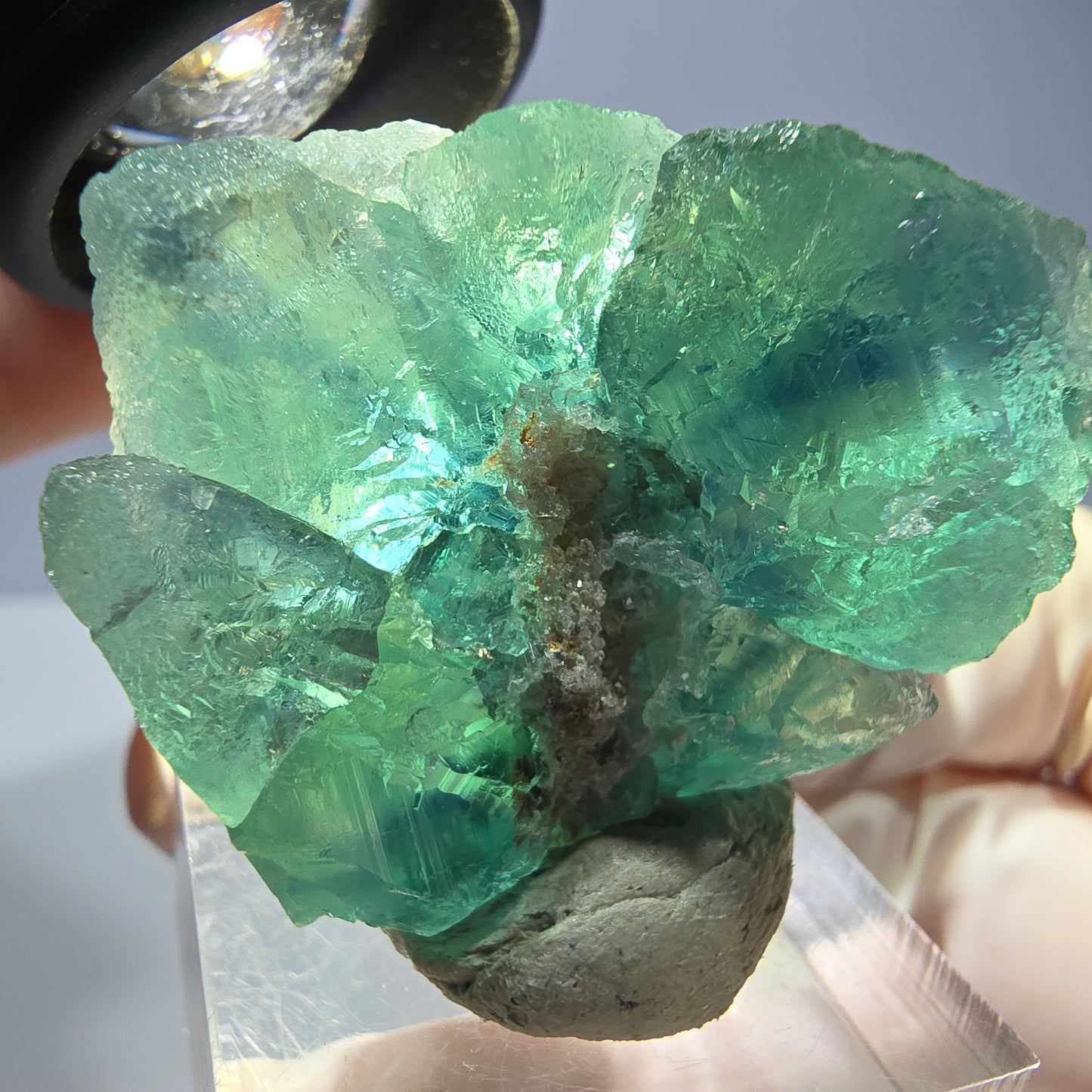 Phantom Fluorit Würfel Stufe, parkettiert grün Okorusu, Namibia 35*30*23mm