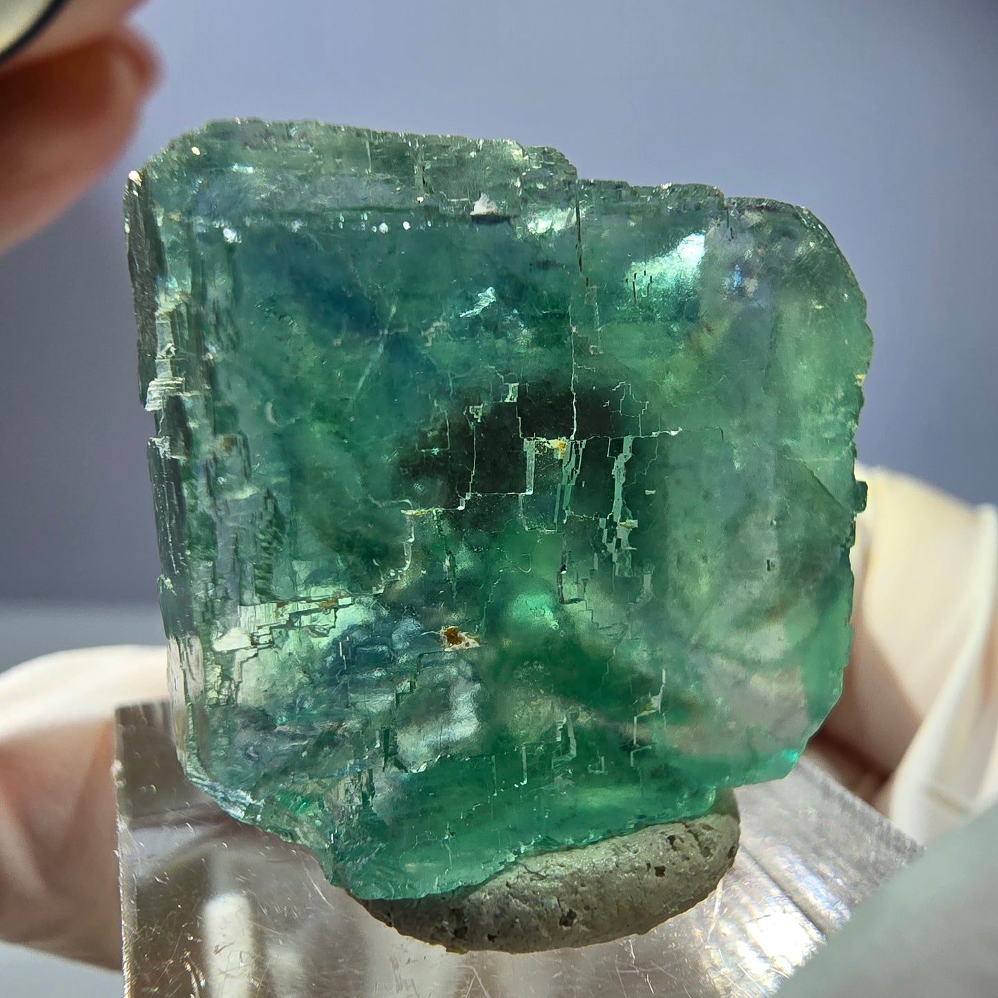 Phantom Fluorit Würfel Stufe, parkettiert grün Okorusu, Namibia 25*24*17mm