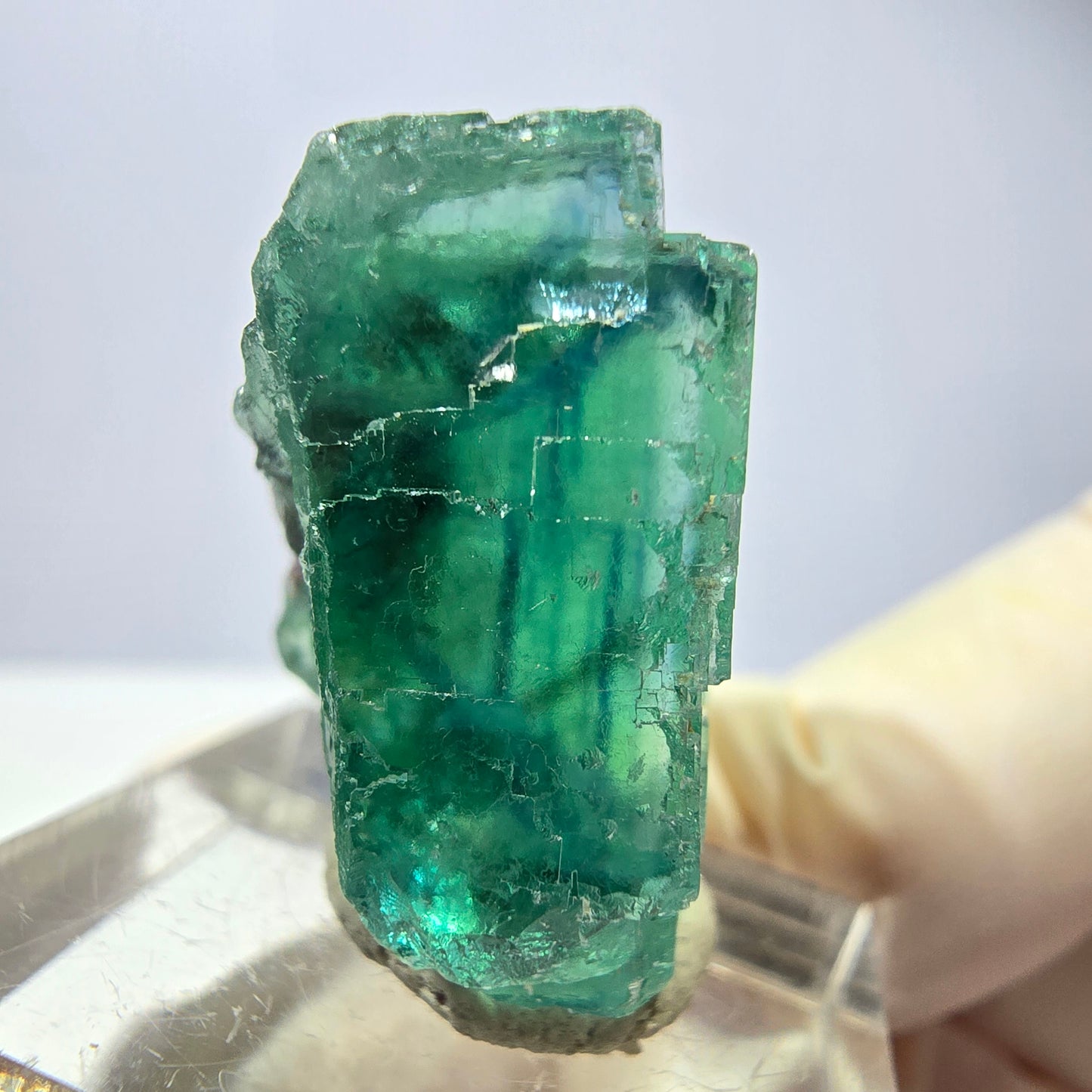Phantom Fluorit Würfel Stufe, parkettiert grün Okorusu, Namibia 25*24*17mm