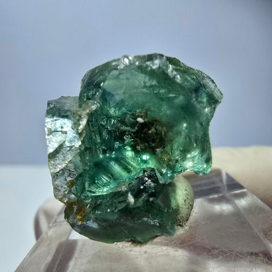 Phantom Fluorit Würfel Stufe, parkettiert grün Okorusu, Namibia 23*19*17mm