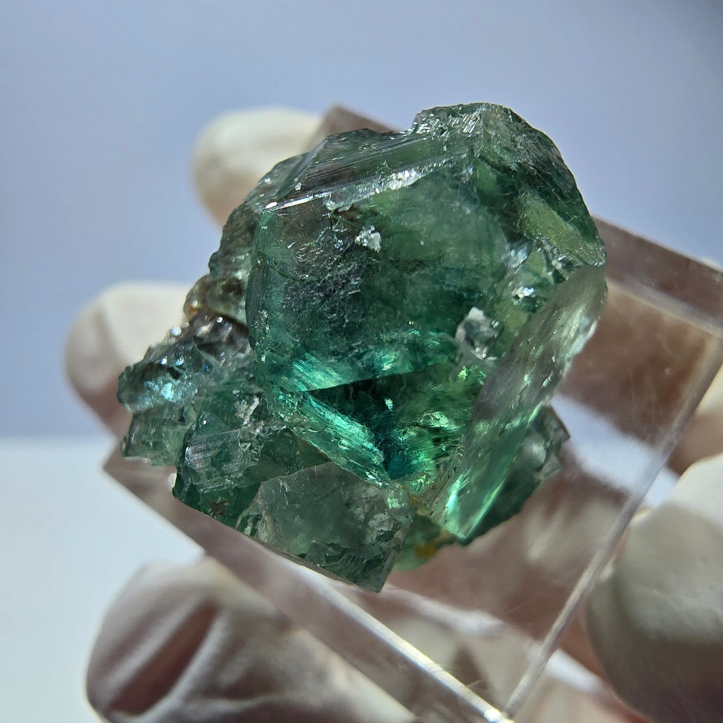 Phantom Fluorit Würfel Stufe, parkettiert grün Okorusu, Namibia 23*19*17mm