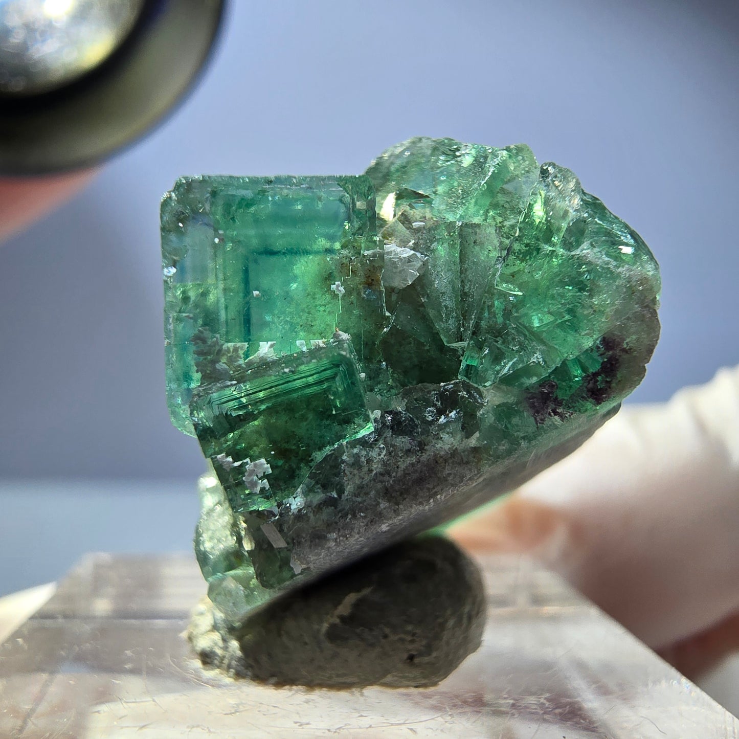 Phantom Fluorit Würfel Stufe, parkettiert grün Okorusu, Namibia 26*24*16mm