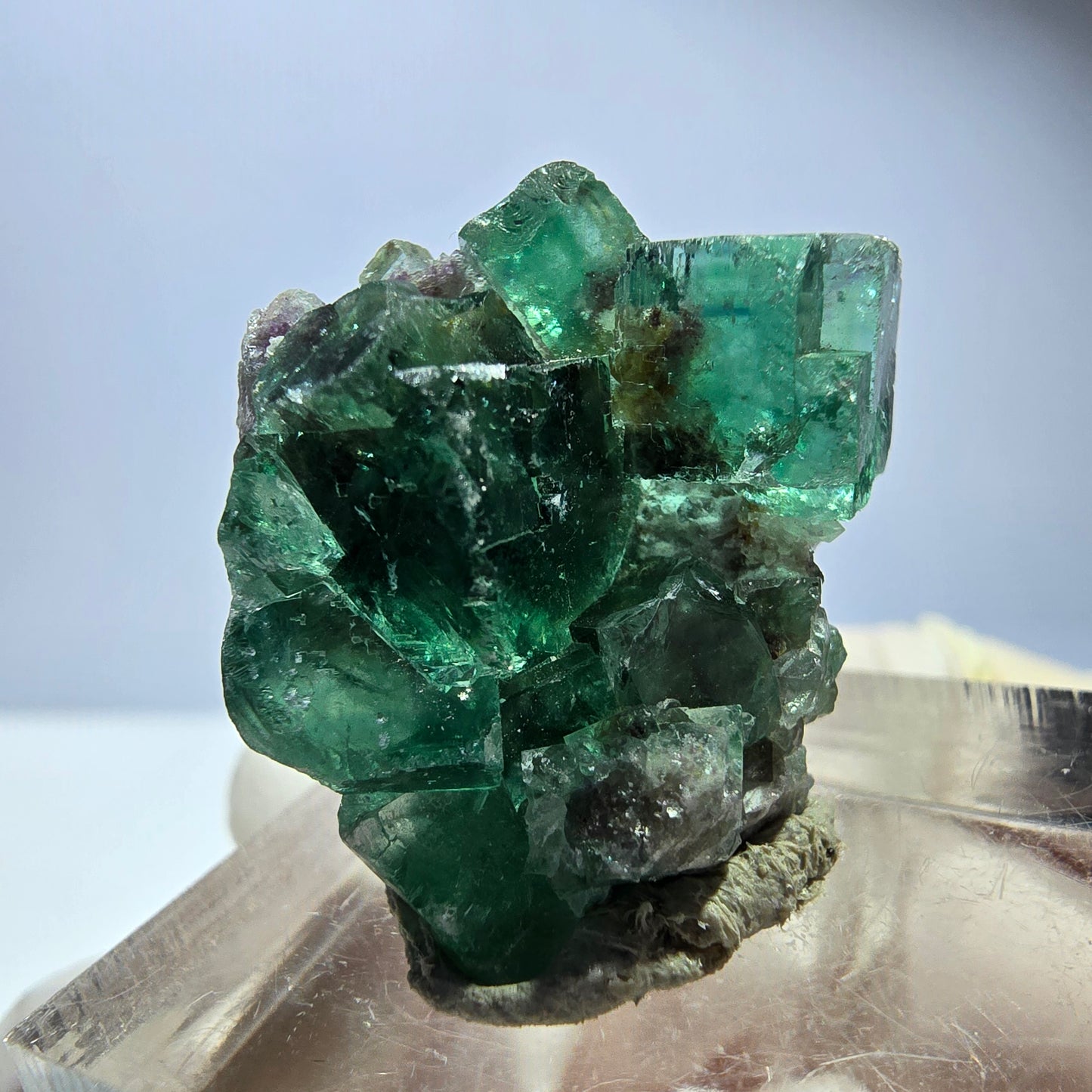 Phantom Fluorit Würfel Stufe, parkettiert grün Okorusu, Namibia 26*24*16mm