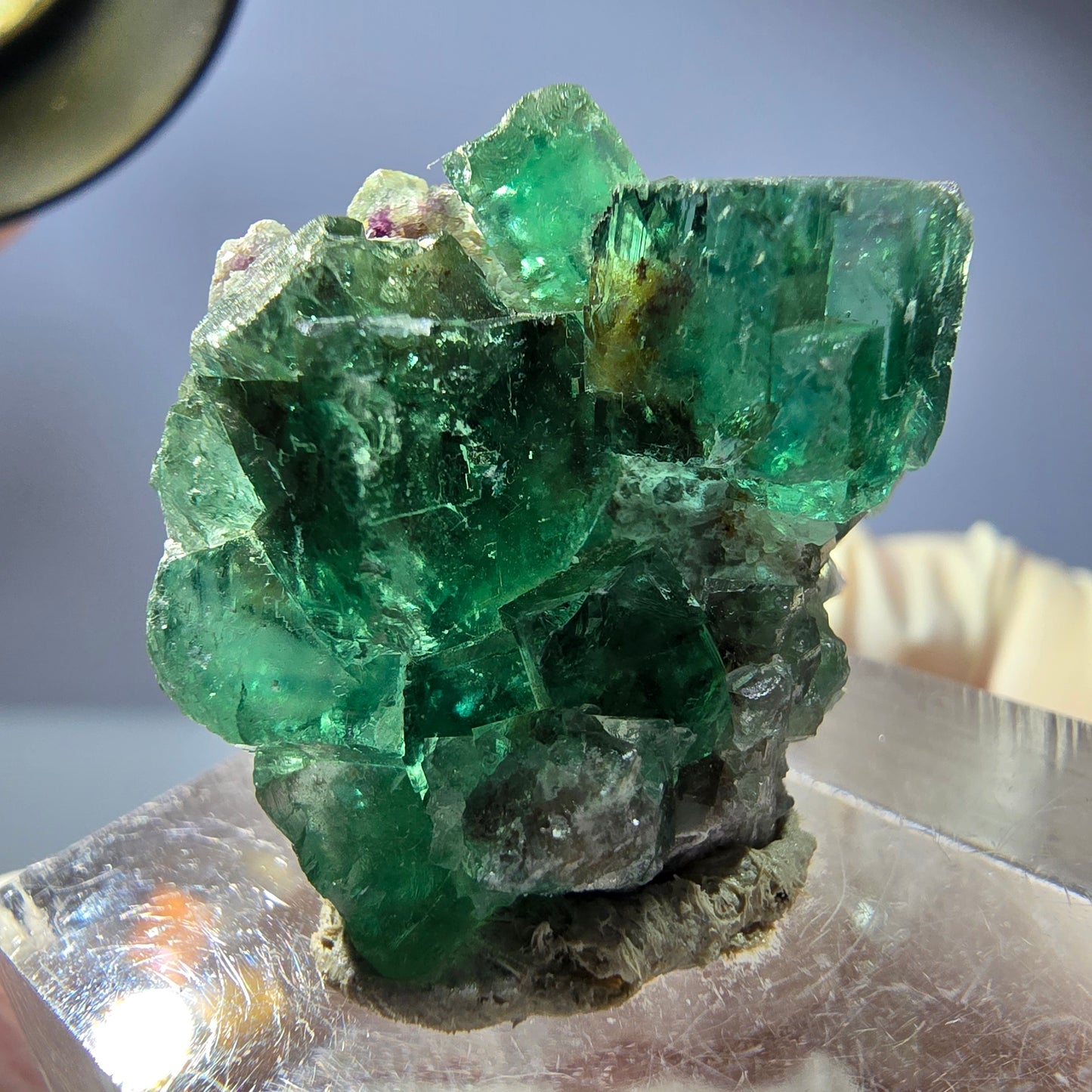 Phantom Fluorit Würfel Stufe, parkettiert grün Okorusu, Namibia 26*24*16mm