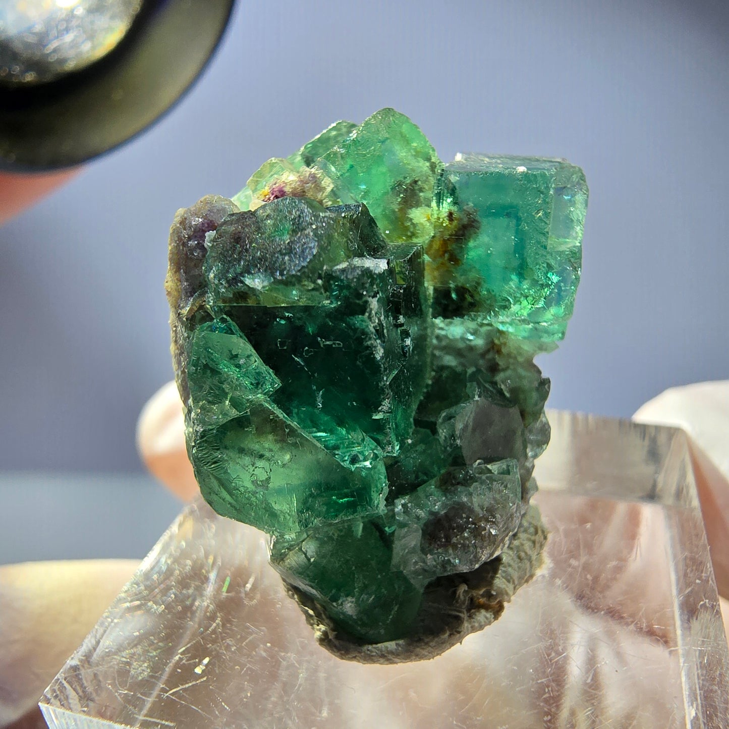 Phantom Fluorit Würfel Stufe, parkettiert grün Okorusu, Namibia 26*24*16mm