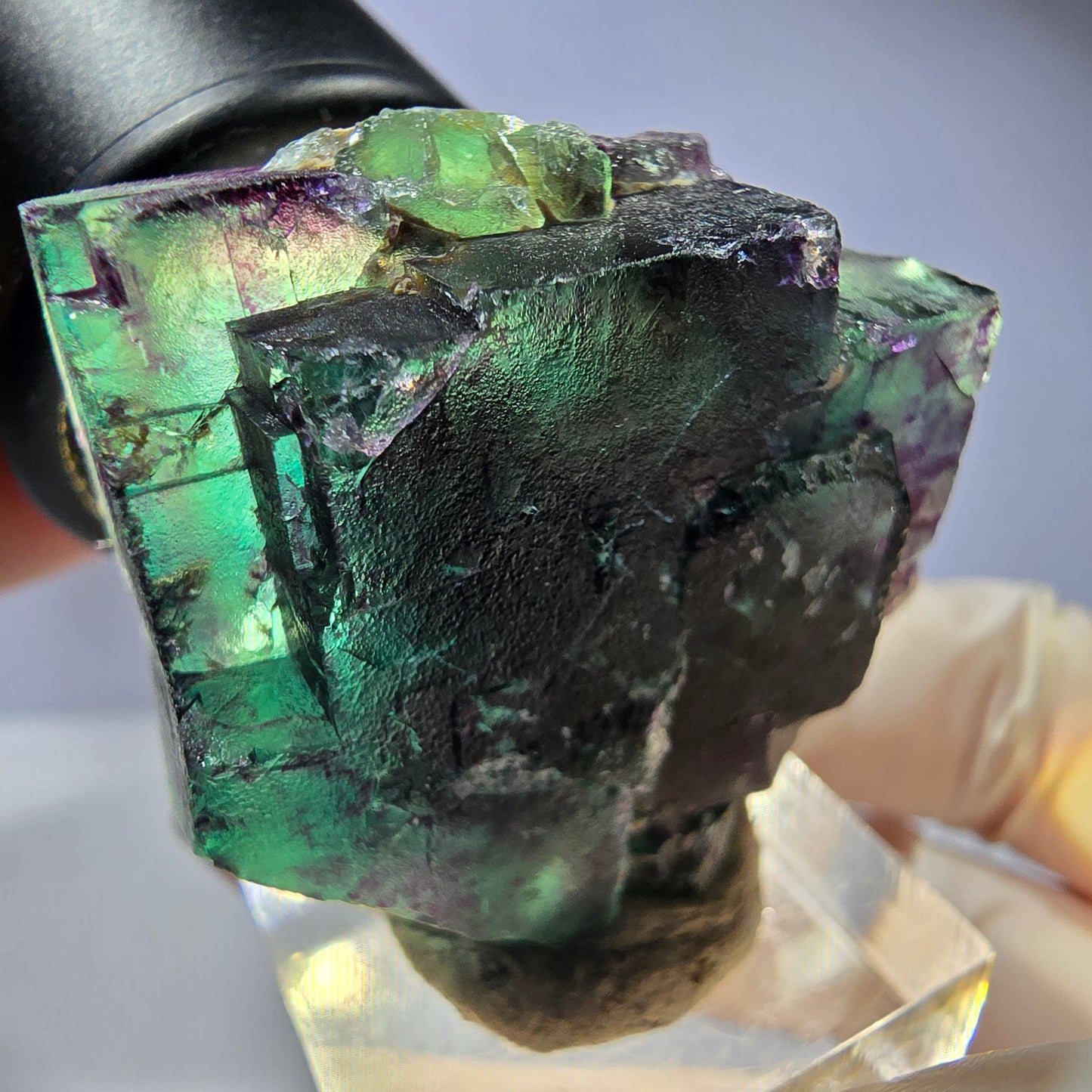 Seltene Phantom Fluorit Würfel Stufe, grün lila Okorusu, Namibia 41*36*20mm
