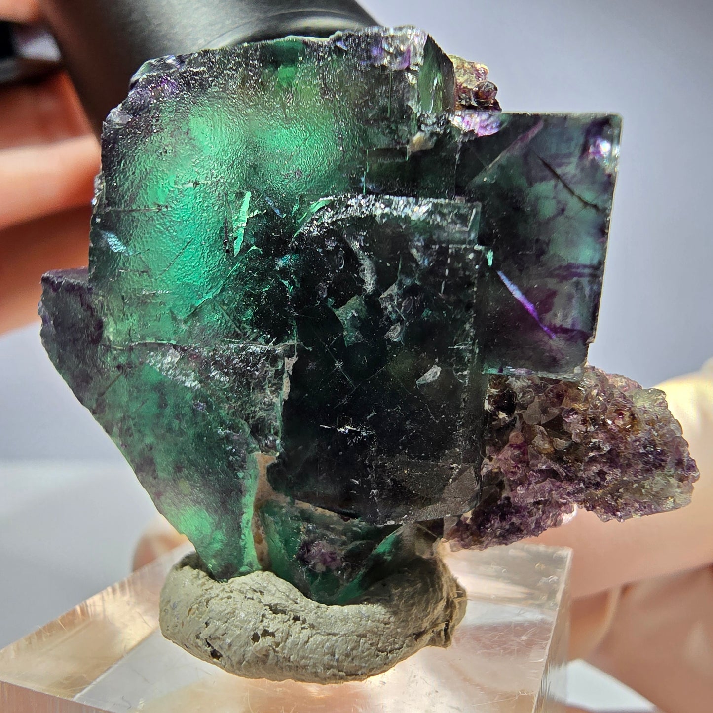 Seltene Phantom Fluorit Würfel Stufe, grün lila Okorusu, Namibia 41*36*20mm