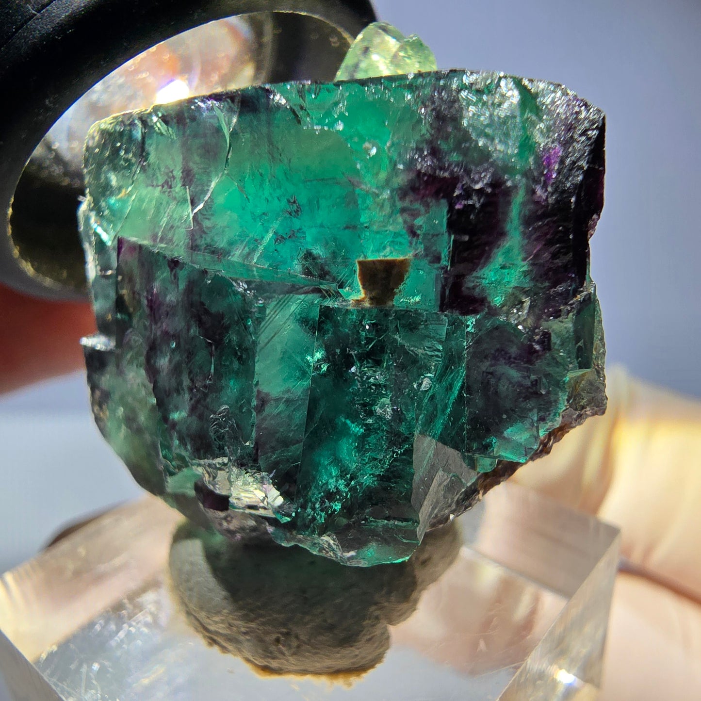 Seltene Phantom Fluorit Würfel Stufe, grün lila Okorusu, Namibia 34*29*19mm