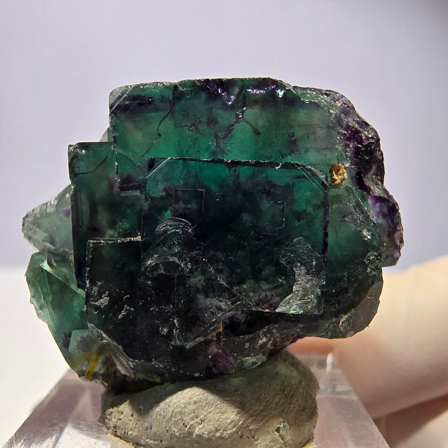 Seltene Phantom Fluorit Würfel Stufe, grün lila Okorusu, Namibia 34*29*19mm