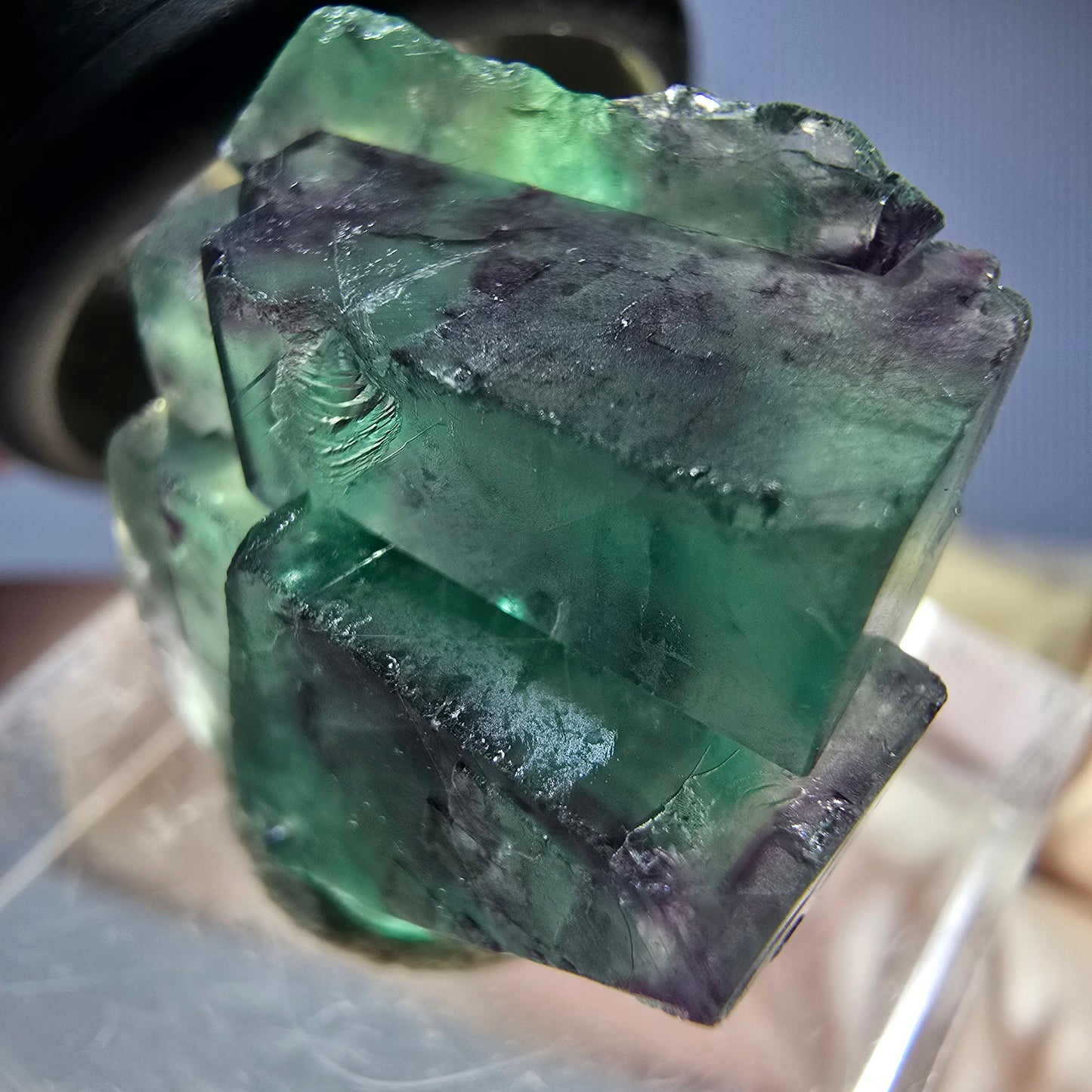 Seltene Phantom Fluorit Würfel Stufe, grün lila Okorusu, Namibia 22*18*15mm