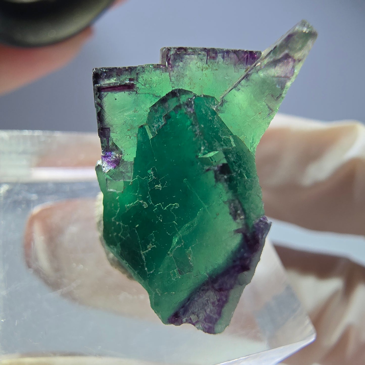 Seltene Phantom Fluorit Würfel Stufe, grün lila Okorusu, Namibia 30*24*15mm
