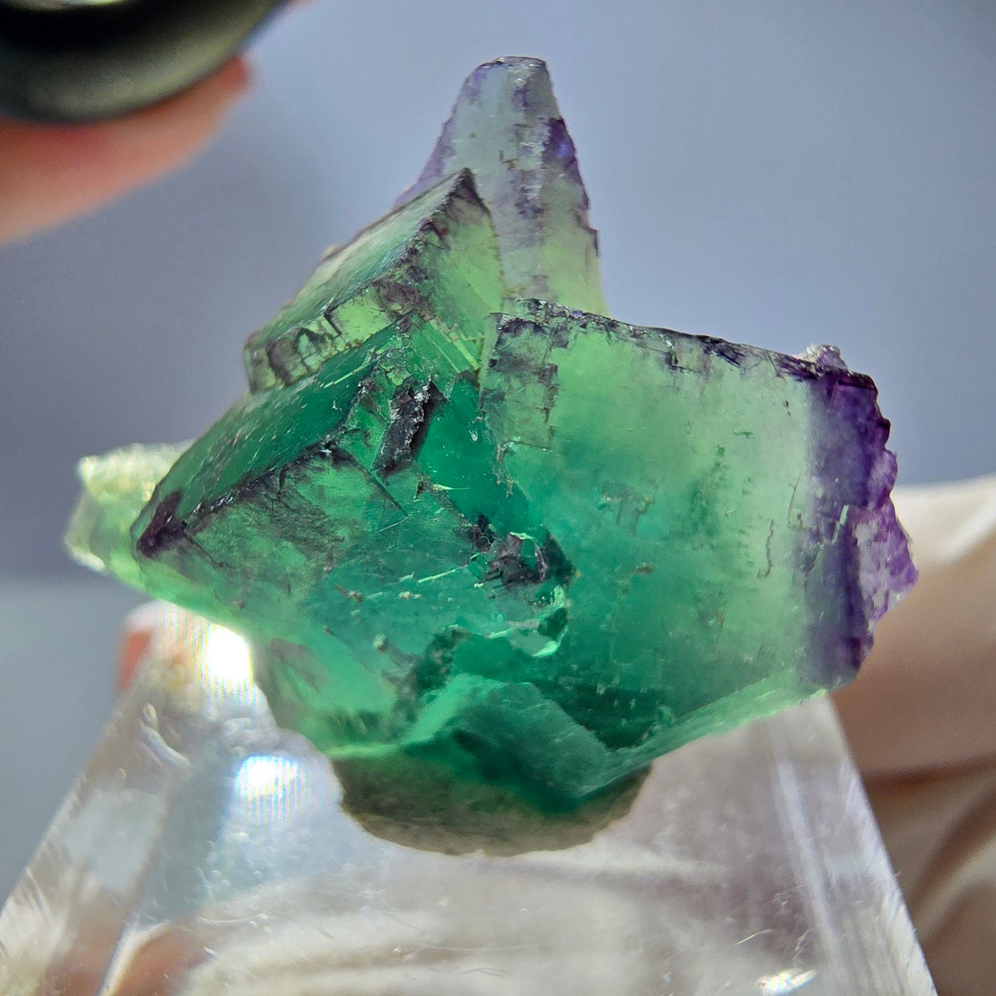 Seltene Phantom Fluorit Würfel Stufe, grün lila Okorusu, Namibia 30*24*15mm