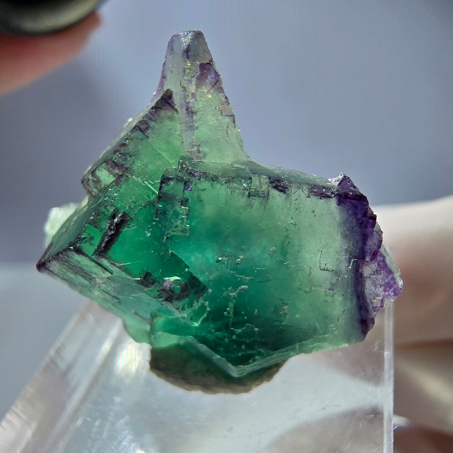 Seltene Phantom Fluorit Würfel Stufe, grün lila Okorusu, Namibia 30*24*15mm
