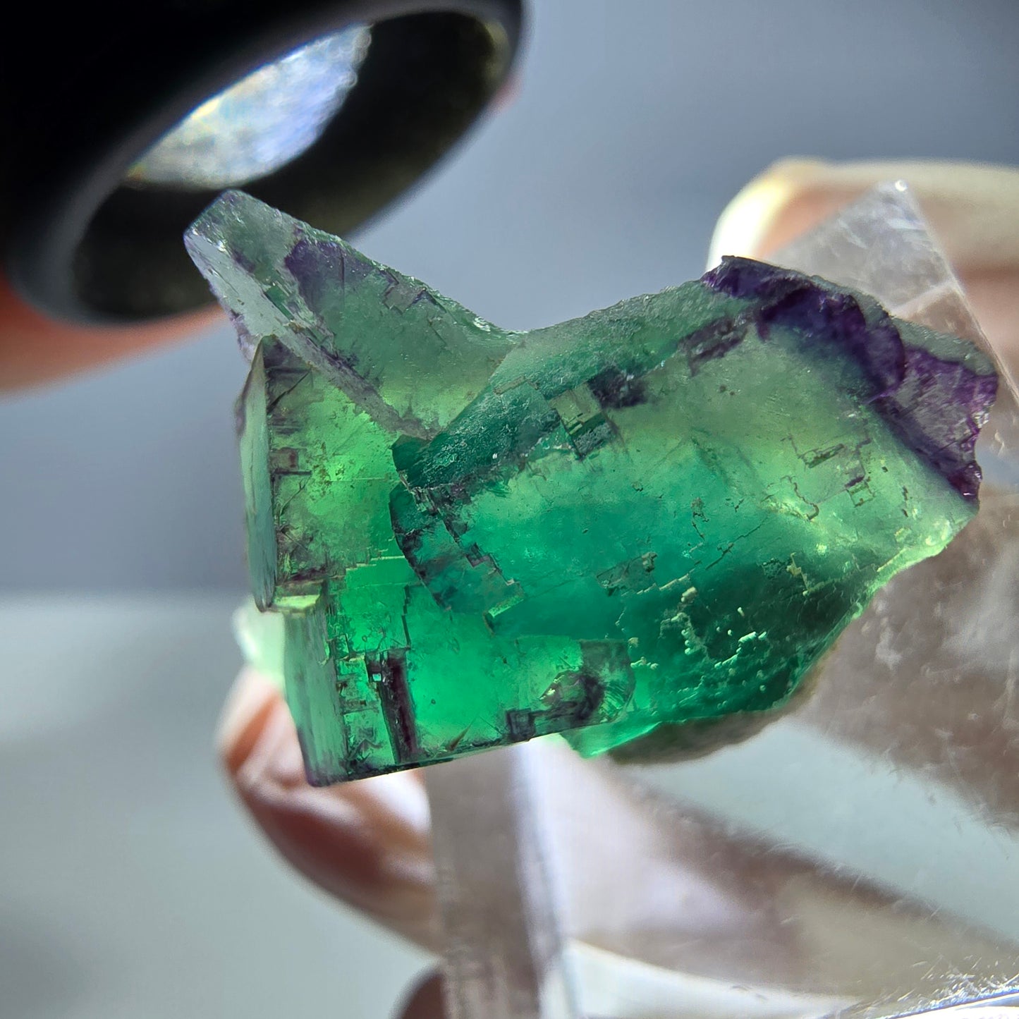 Seltene Phantom Fluorit Würfel Stufe, grün lila Okorusu, Namibia 30*24*15mm