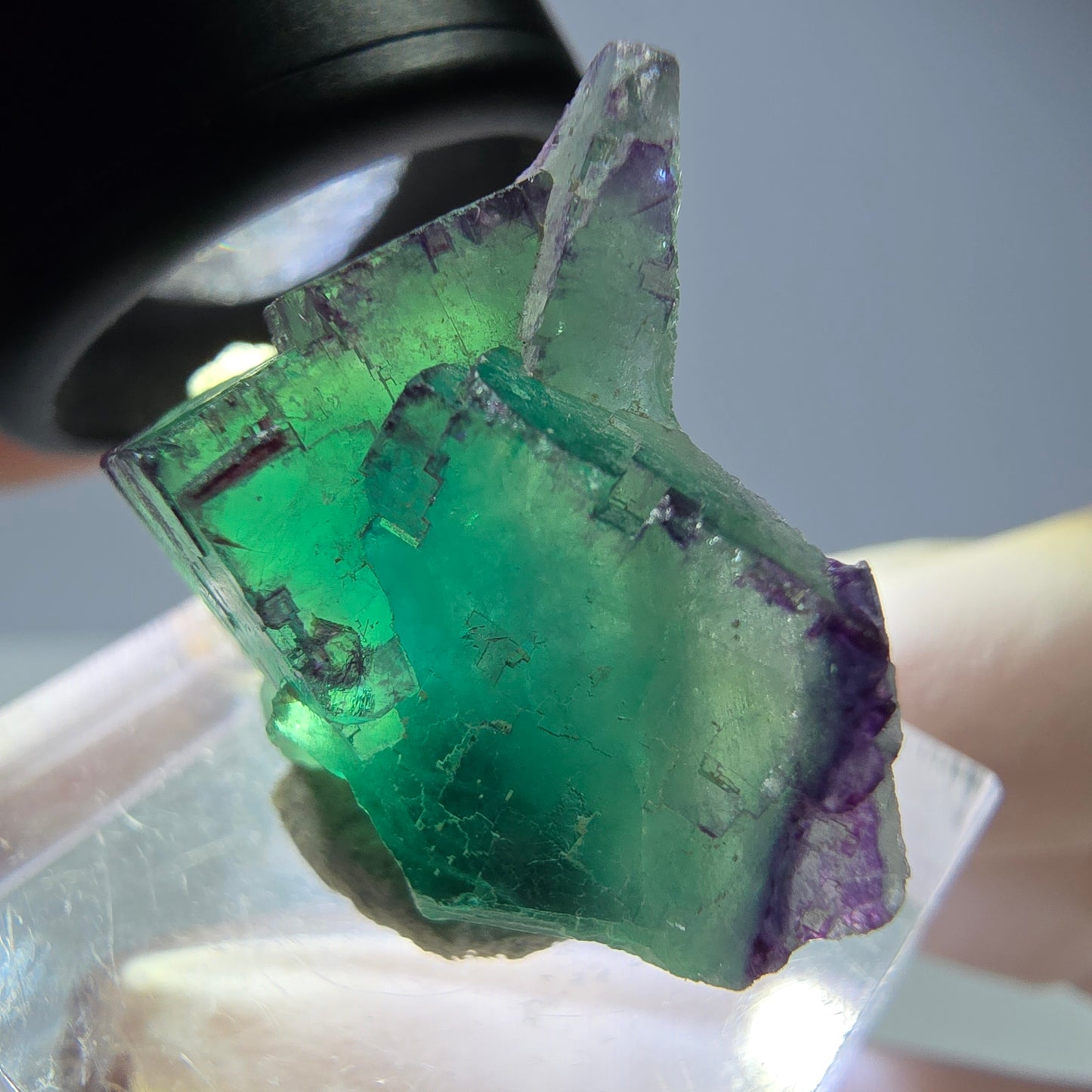 Seltene Phantom Fluorit Würfel Stufe, grün lila Okorusu, Namibia 30*24*15mm