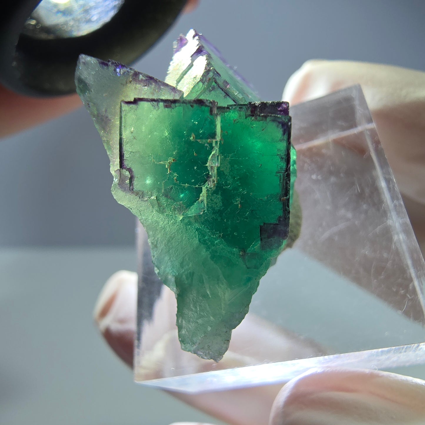 Seltene Phantom Fluorit Würfel Stufe, grün lila Okorusu, Namibia 30*24*15mm