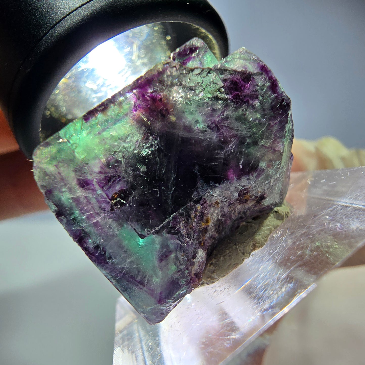 Seltene Phantom Fluorit Würfel Stufe, grün lila Okorusu, Namibia 21*18*14mm