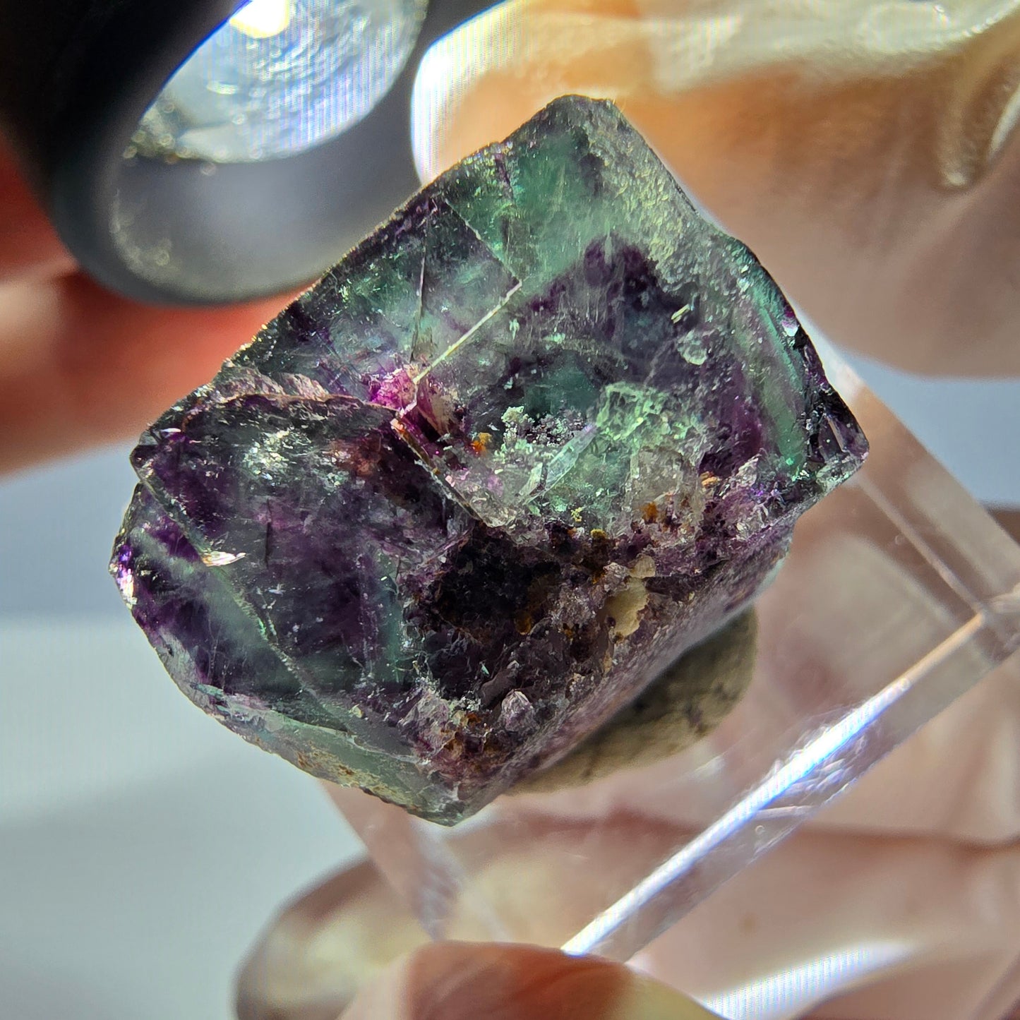 Seltene Phantom Fluorit Würfel Stufe, grün lila Okorusu, Namibia 21*18*14mm