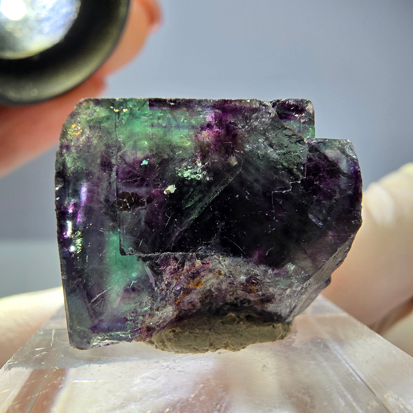 Seltene Phantom Fluorit Würfel Stufe, grün lila Okorusu, Namibia 21*18*14mm