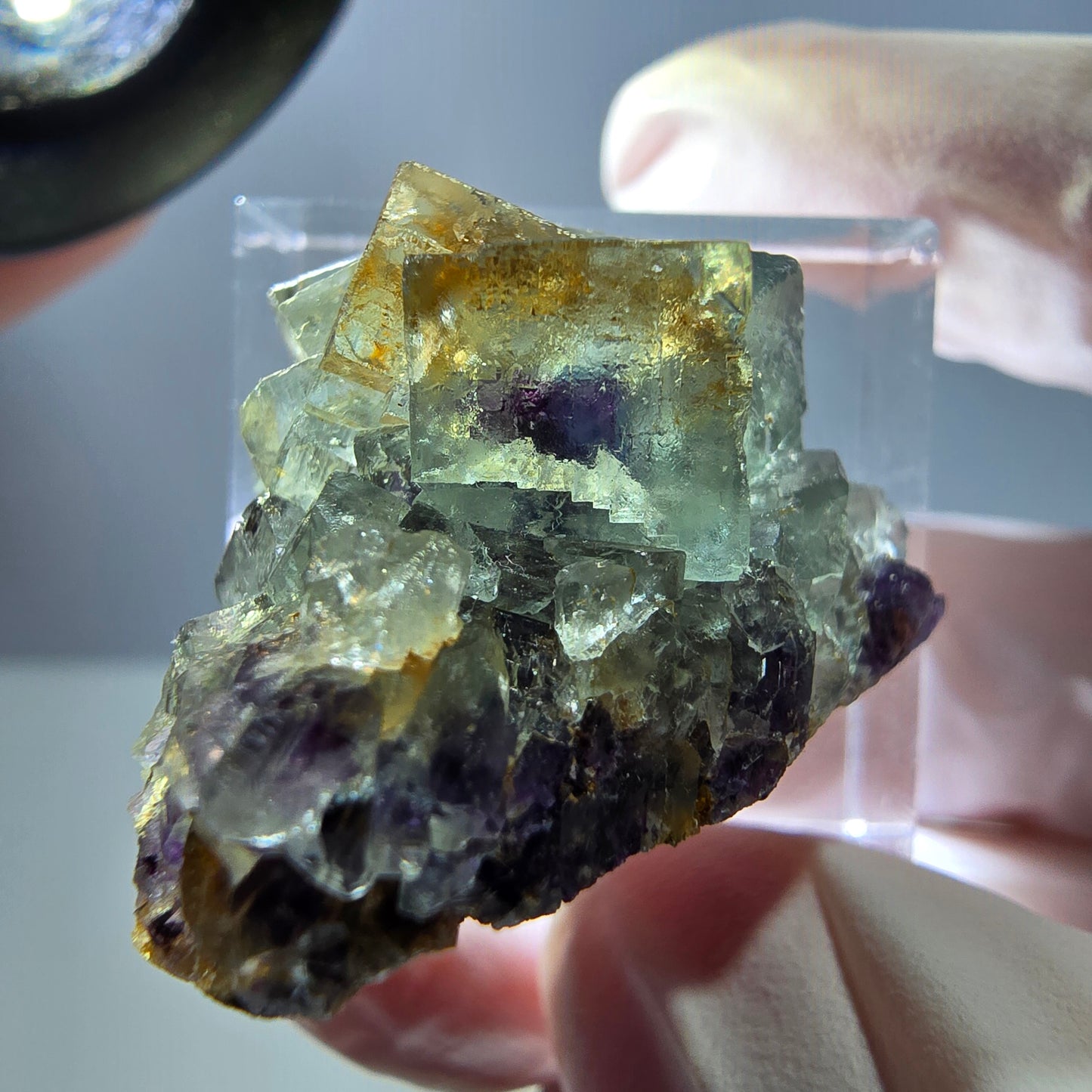 Seltene Phantom Fluorit Würfel Stufe, grün lila Okorusu, Namibia 30*21*20mm