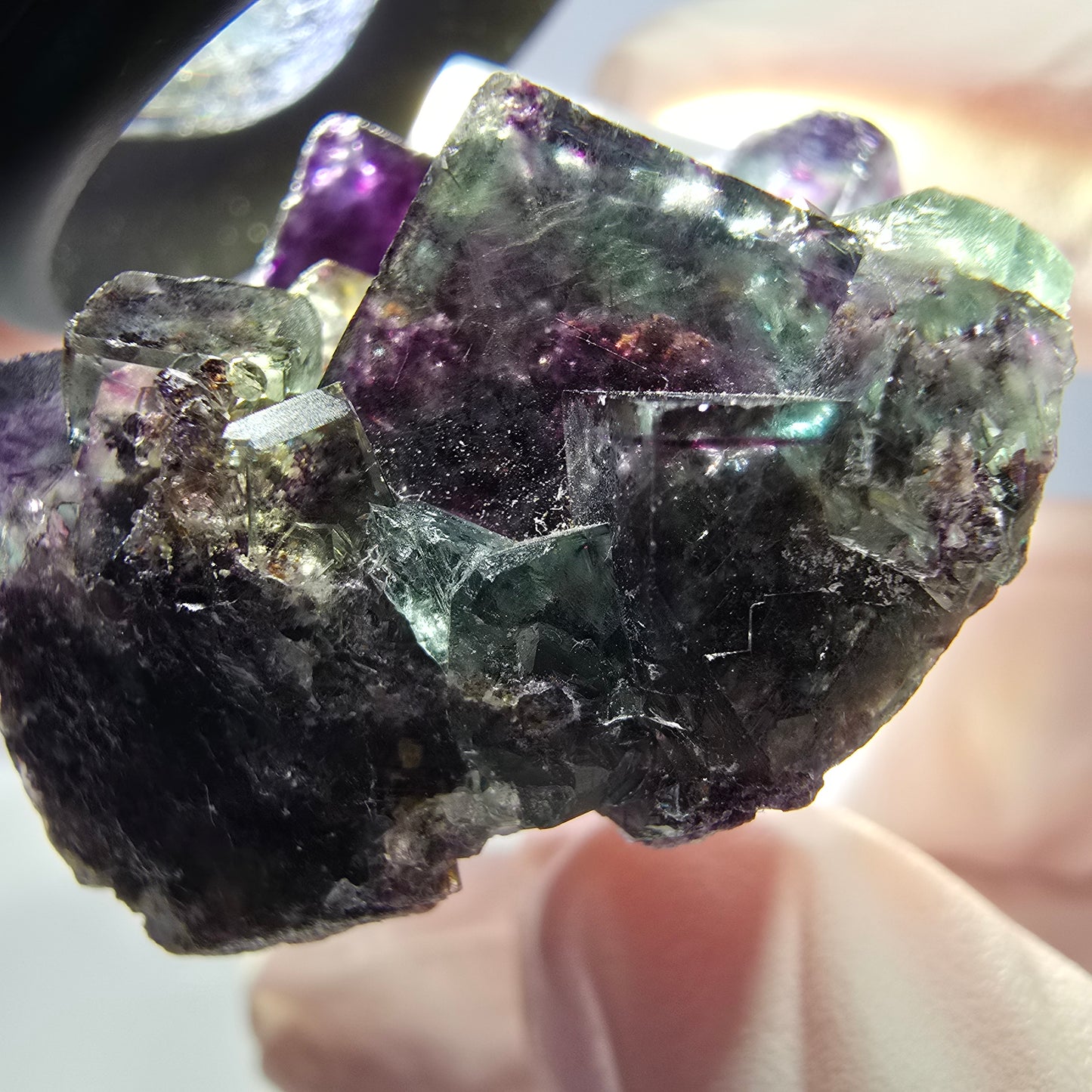 Seltene Phantom Fluorit Würfel Stufe, grün lila Okorusu, Namibia 35*28*17mm