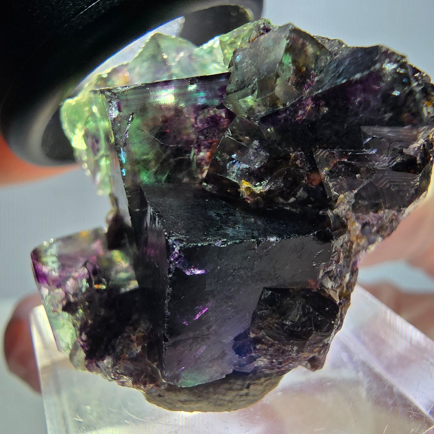 Seltene Phantom Fluorit Würfel Stufe, grün lila Okorusu, Namibia 35*28*17mm